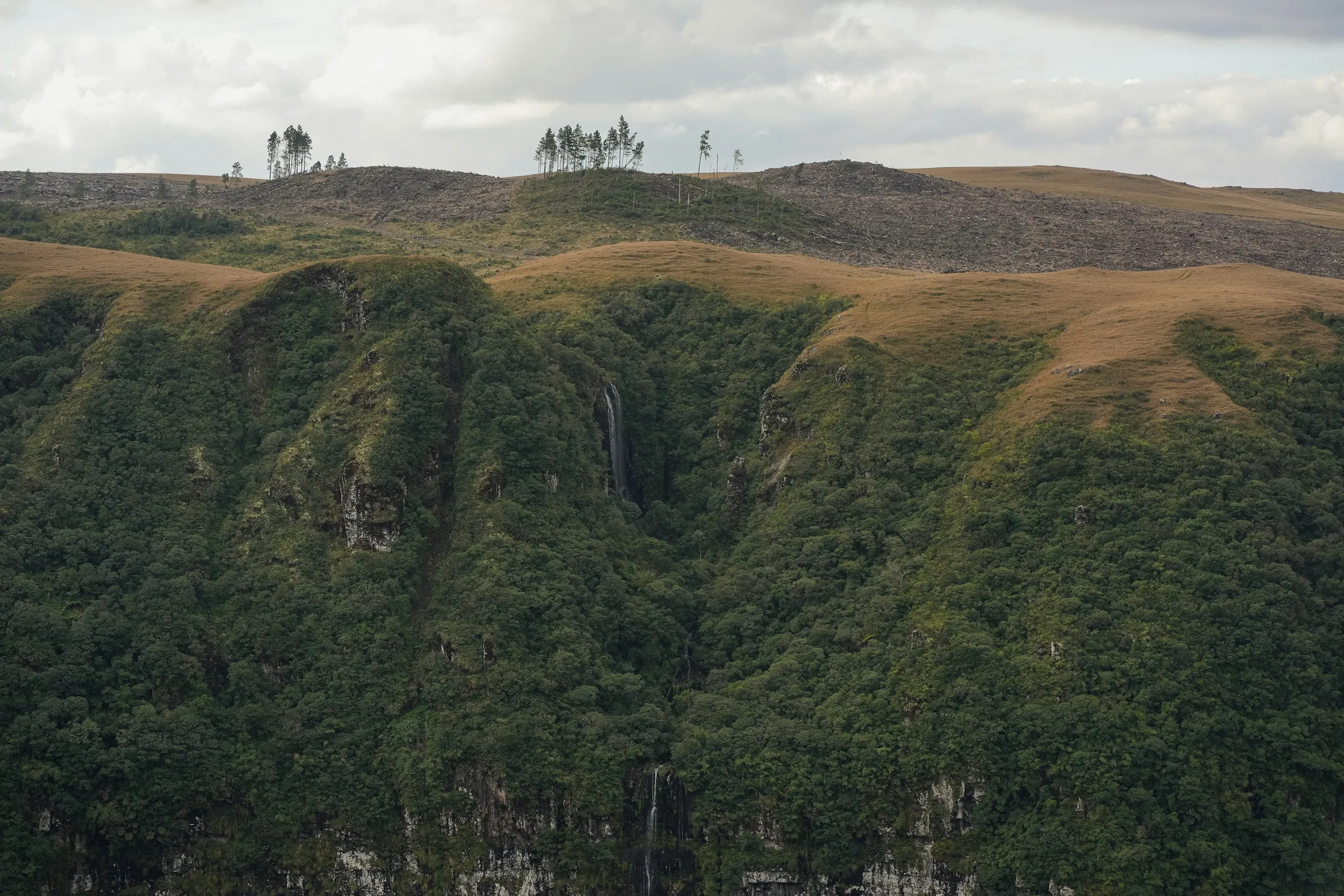 Campos de altitude na borda de um cânion da serra
