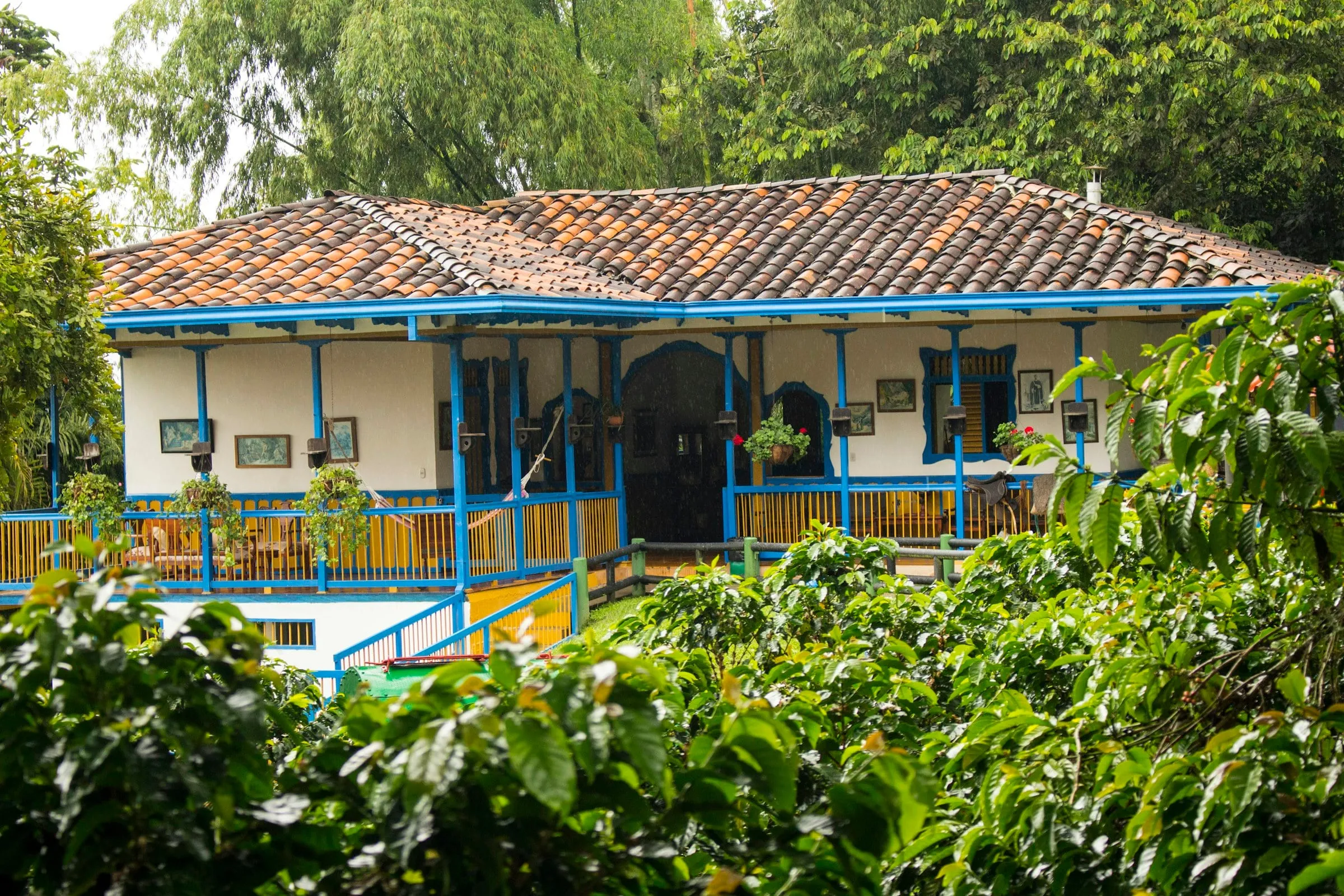 Casa-sede de telhado colonial e varanda azul, cercada de jardim